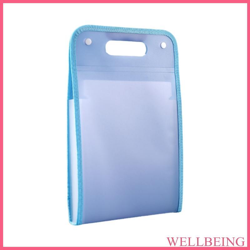 WELL A 4 Handheld Vertical Organ Bag Storage 13 Grids Folder | Shopee ...