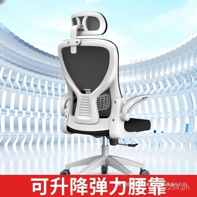 Study Chair Office Comfortable Primary and Secondary School Students ...