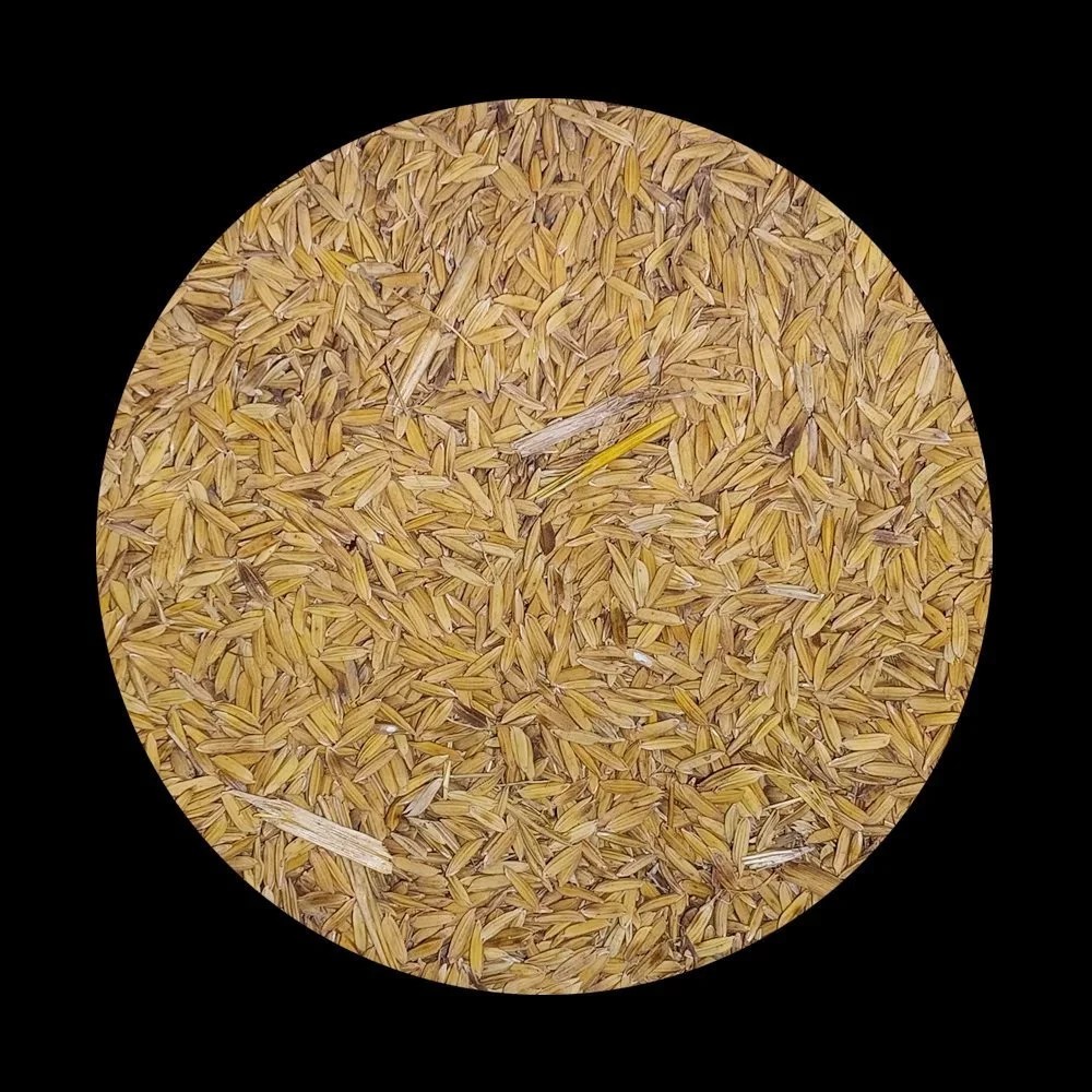 Shop 5 kilos rice for Sale on Shopee Philippines