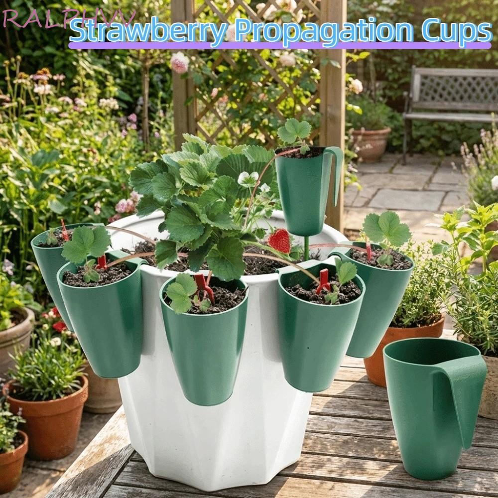 PENTAXZR 5PCS Rooting Pots, Plastic Easy Transplanting Strawberry ...