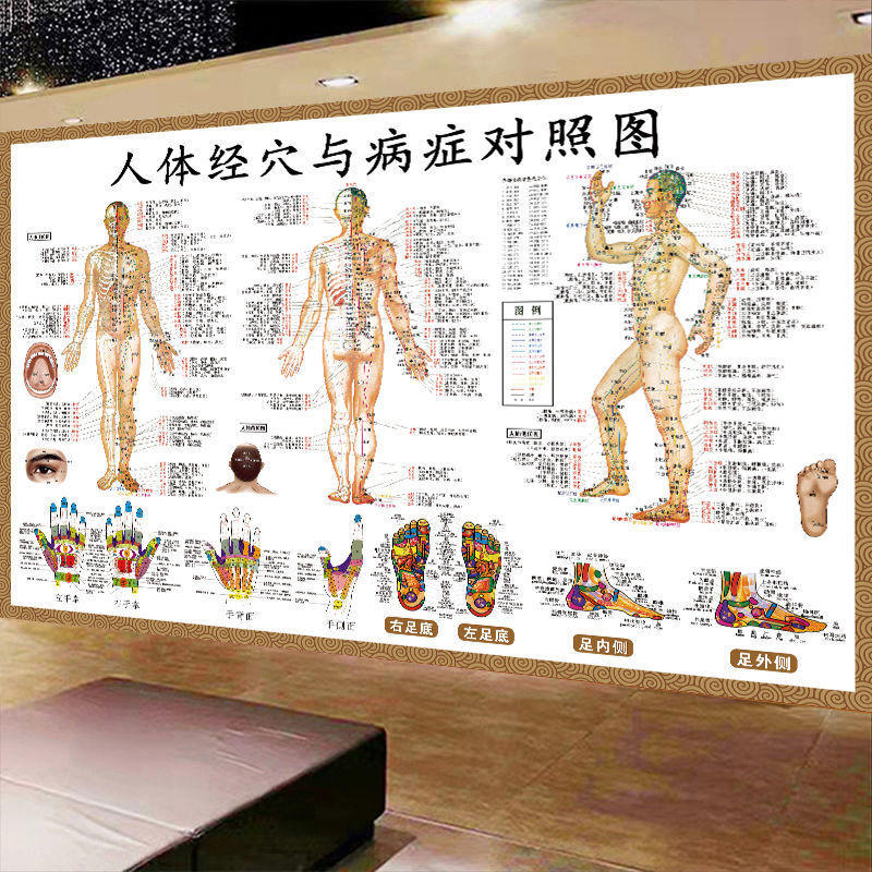 Human Acupuncture Map Whole Body Map Traditional Chinese Medicine ...