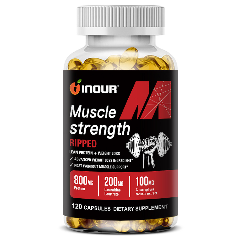Post-Workout Protein & Fitness Support Supplement with L-Carnitine