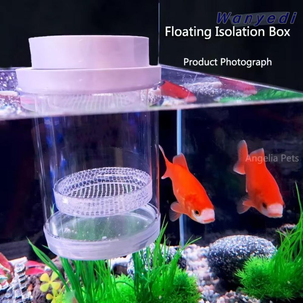 WANYEDI Floating Fish Breeding Isolation Box, Transparent Aquarium ...