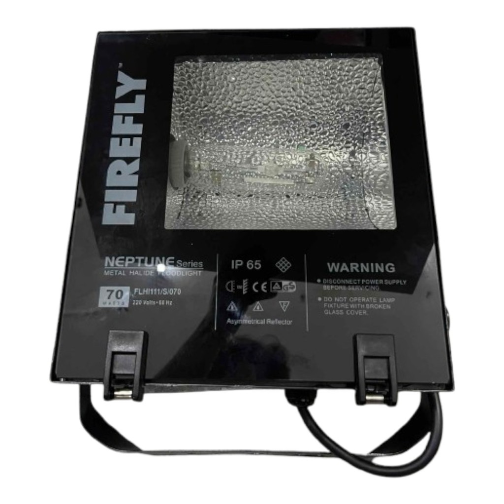 Firefly 150W Metal Halide Flood Light Fixture 220V with Lamp FLHI111/S ...