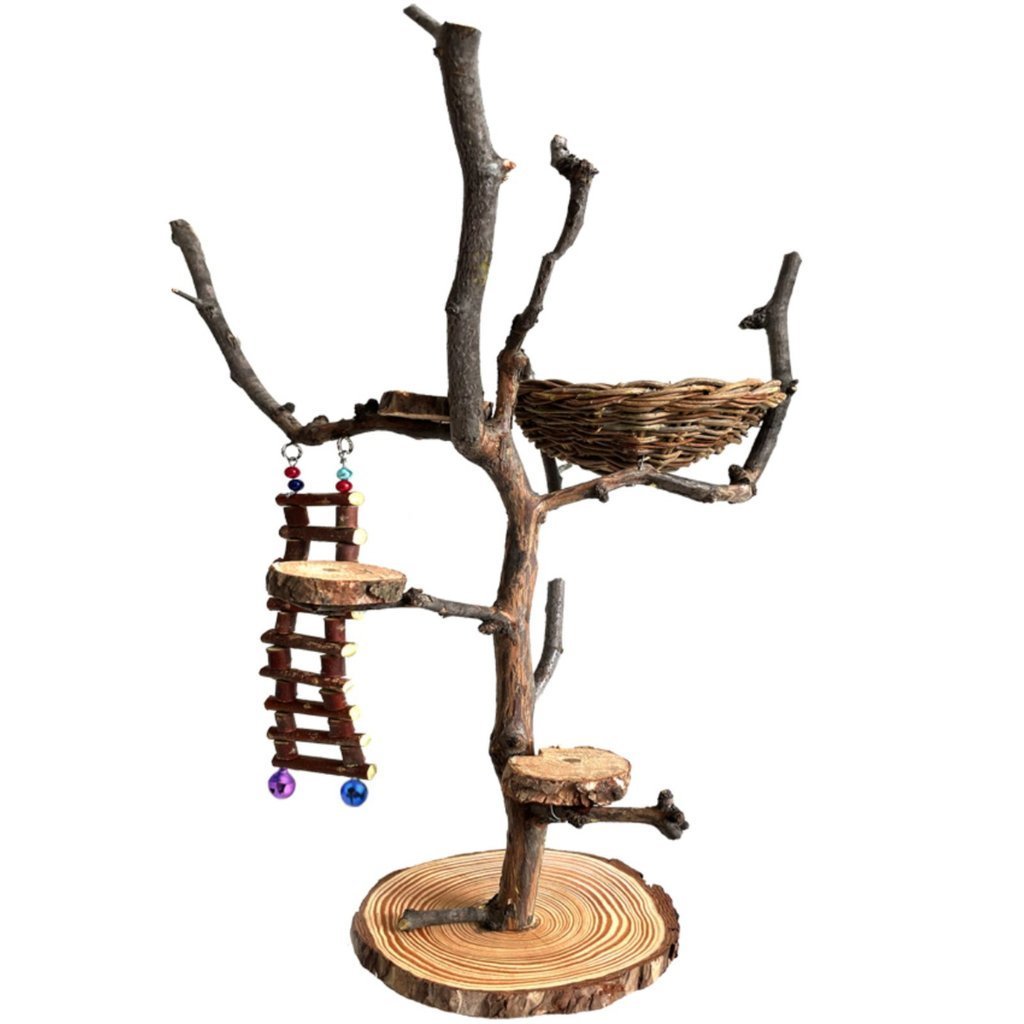 Bird Stand Parrot Stand Tree Branch Floor Standing Bird Training Stand ...