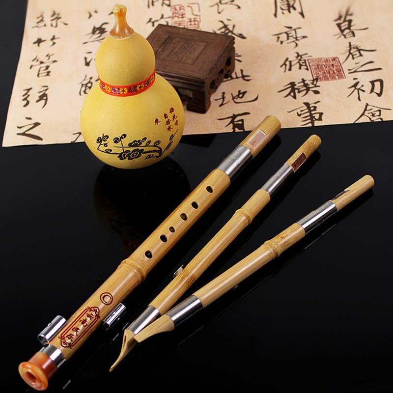 Adult Three Bamboo Golden Silk Gourd Pipa Student Instrument c Beginner ...