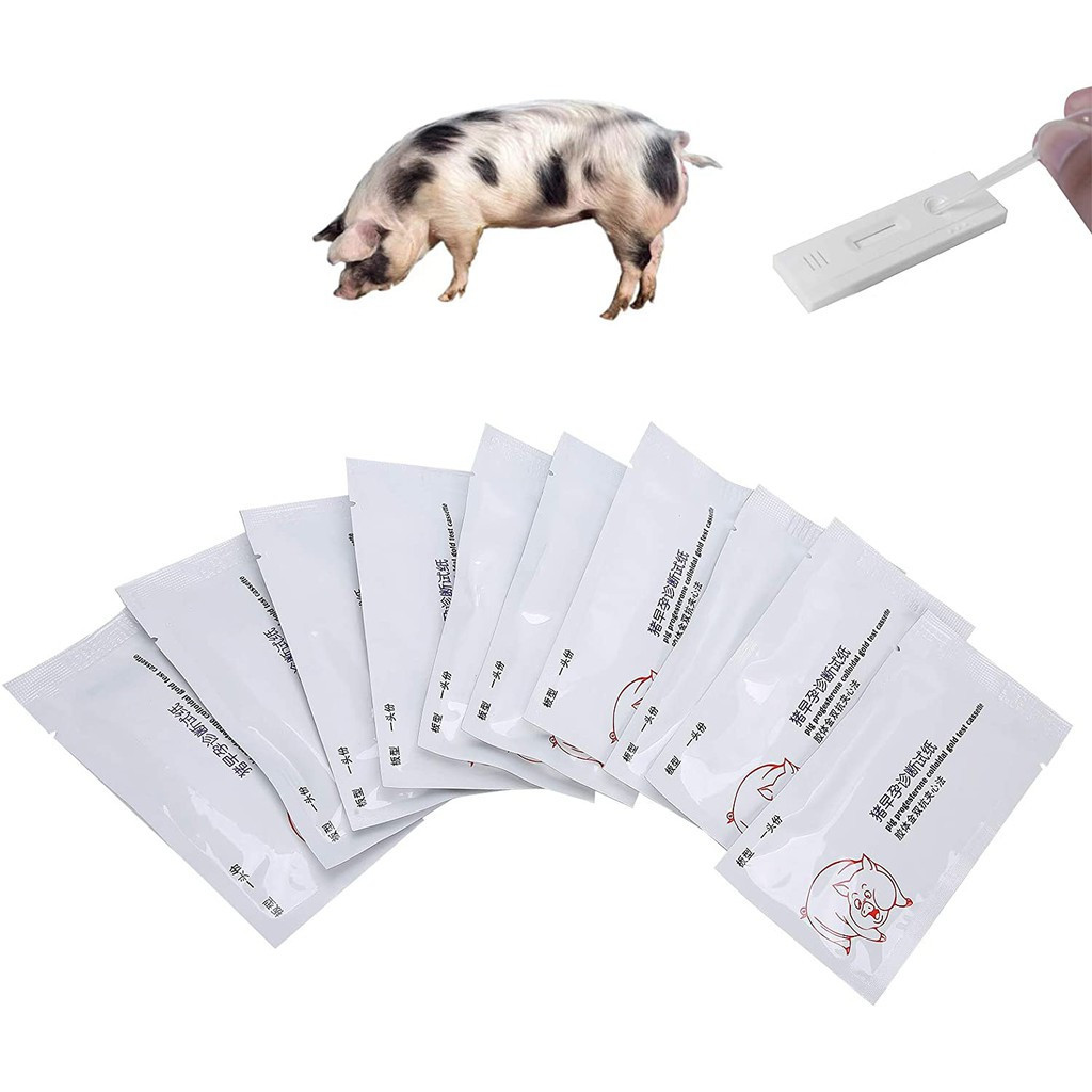 1pc/5pcs Pig Pregnancy Test Strip Early Pregnant Detection Testing Tool ...