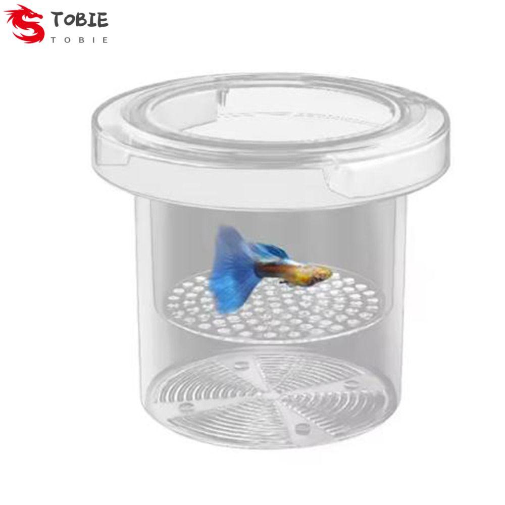 TOBIE Aquarium Breeder Feeder, Transparent Suspension Floating Fish ...
