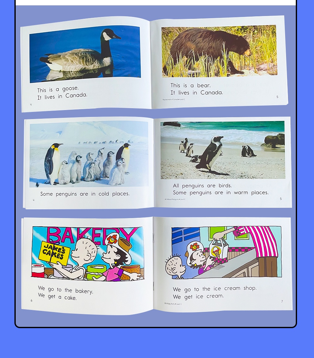 Kids RAZ Grade A-Z Levels Education English Books for Kids Children ...