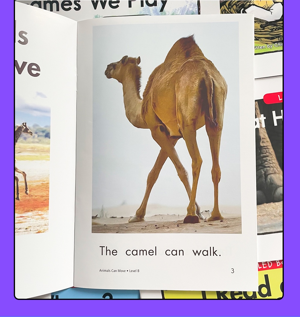 Kids RAZ Grade A-Z Levels Education English Books for Kids Children ...