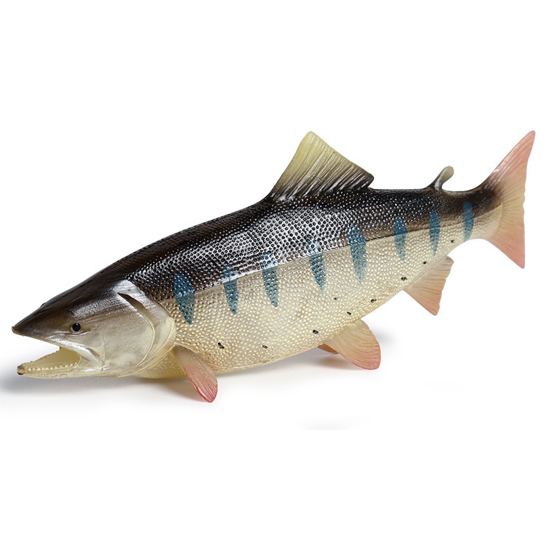 Children solid simulated marine animal model Salmon salmon marine