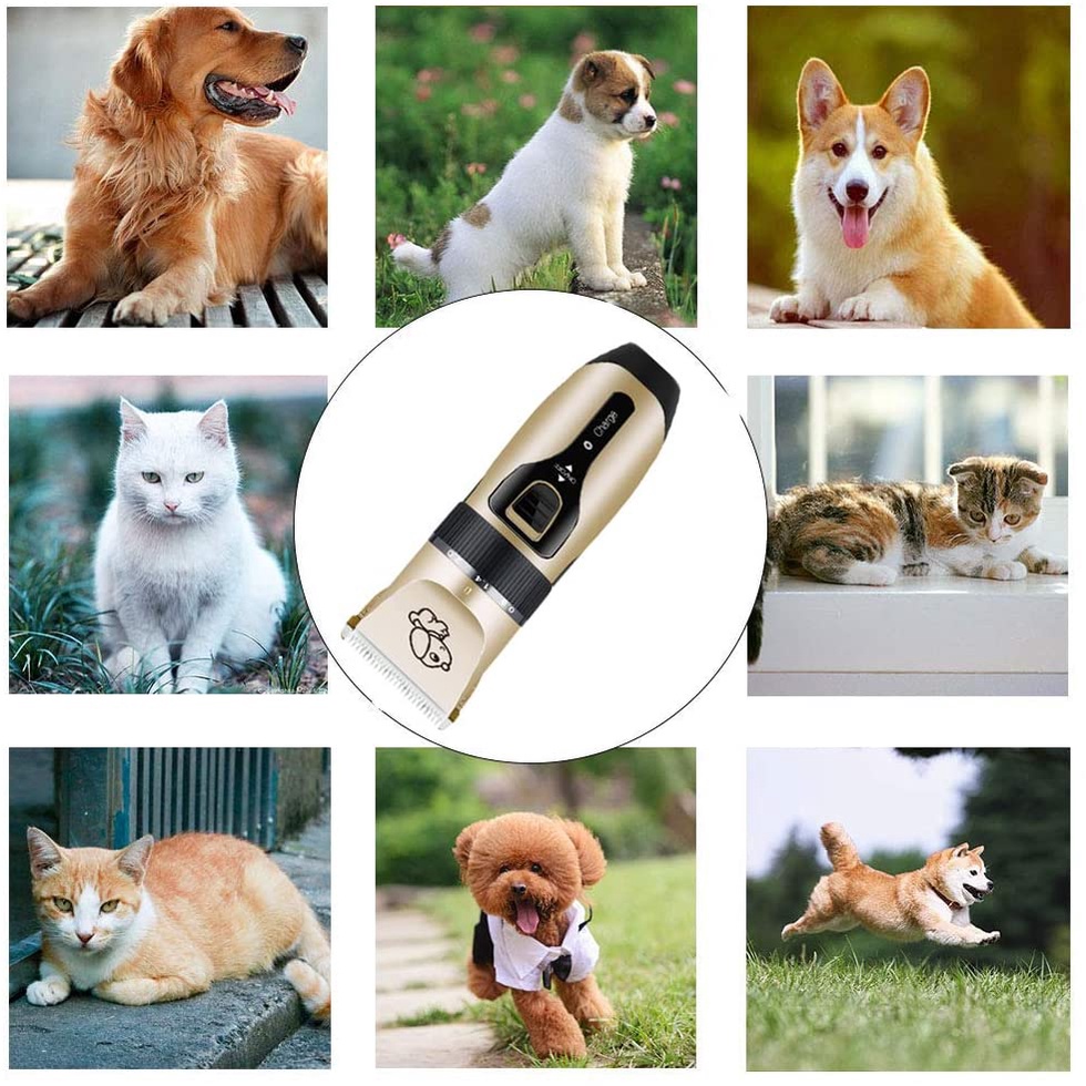 Razor for Dogs Pet Razor Grooming Kit Cat Shaver Dog Hair Trimmer ...