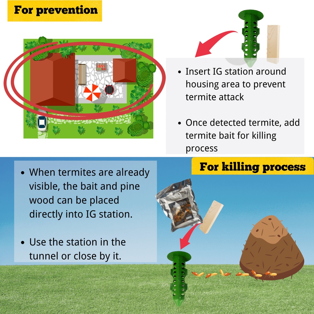 50g/100g - Brand EXcoQ DIY Termite Bait pack with AG (Bait Box ...