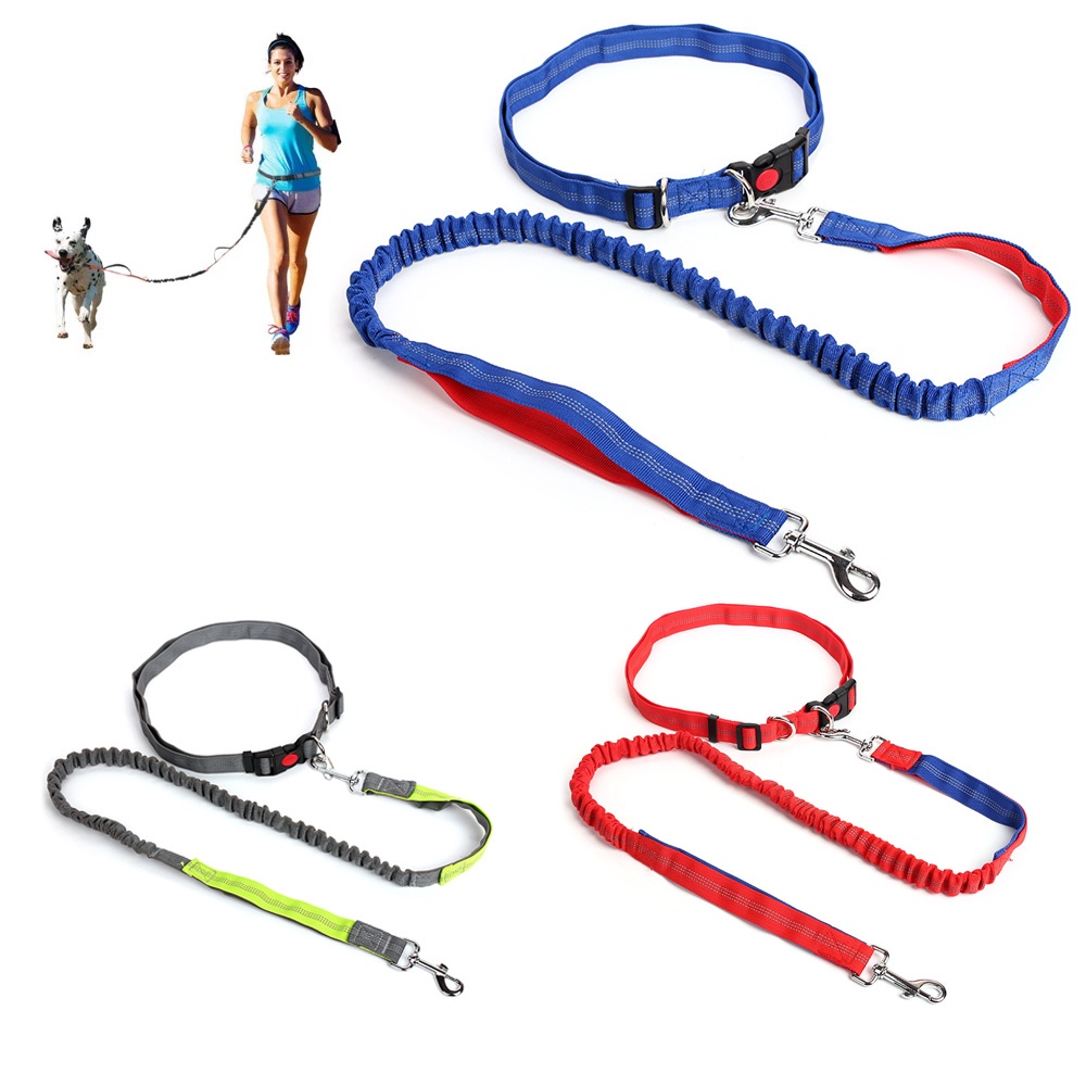 Hands Free Running Dog Lead, Adjustable Waist Belt Perfect for