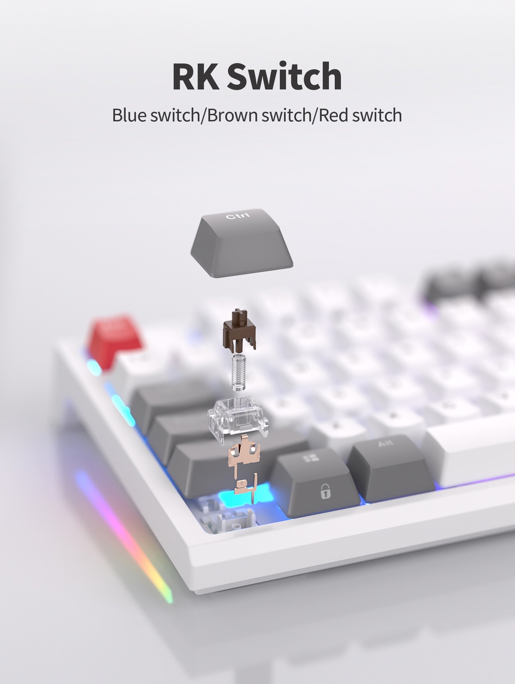 NEW RK R87 Royal Kludge 87 Key Wired Professional Game Hotswap ...
