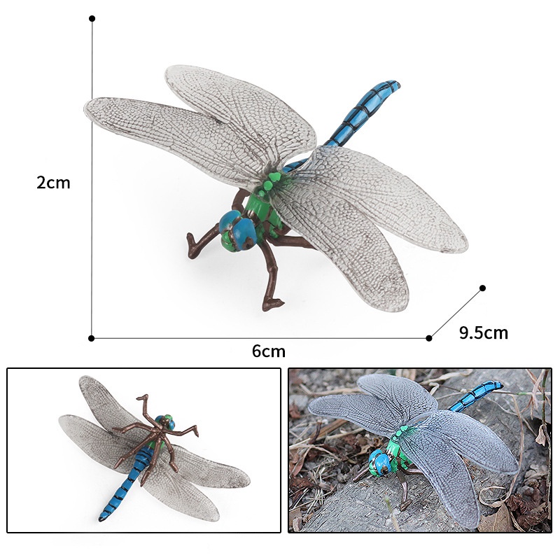 simulation insect dragonfly animal model Kids science education ...