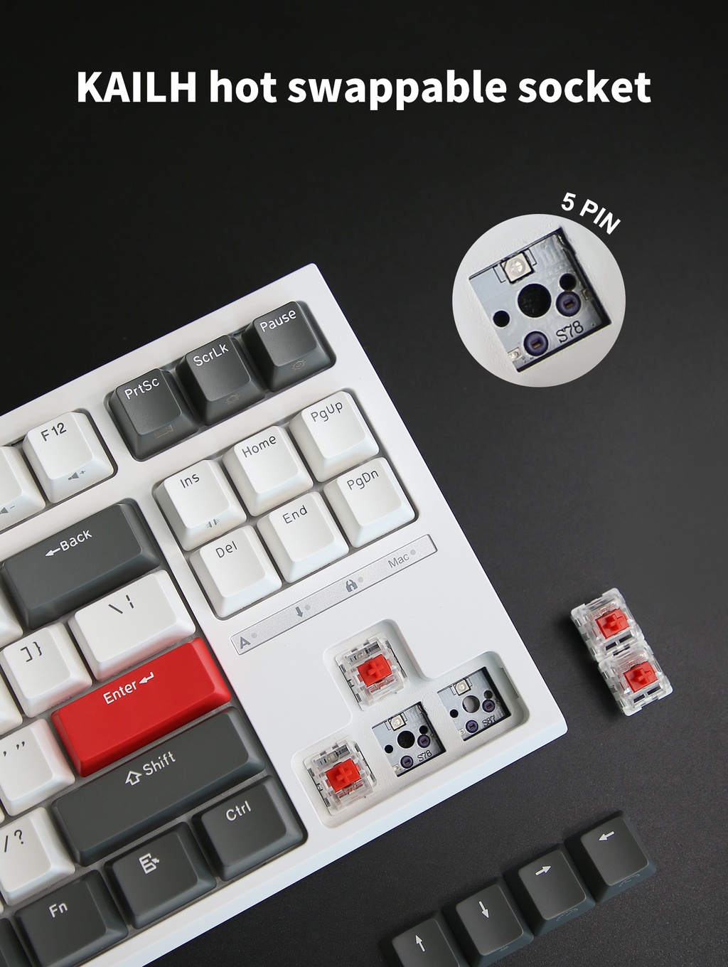 NEW RK R87 Royal Kludge 87 Key Wired Professional Game Hotswap ...