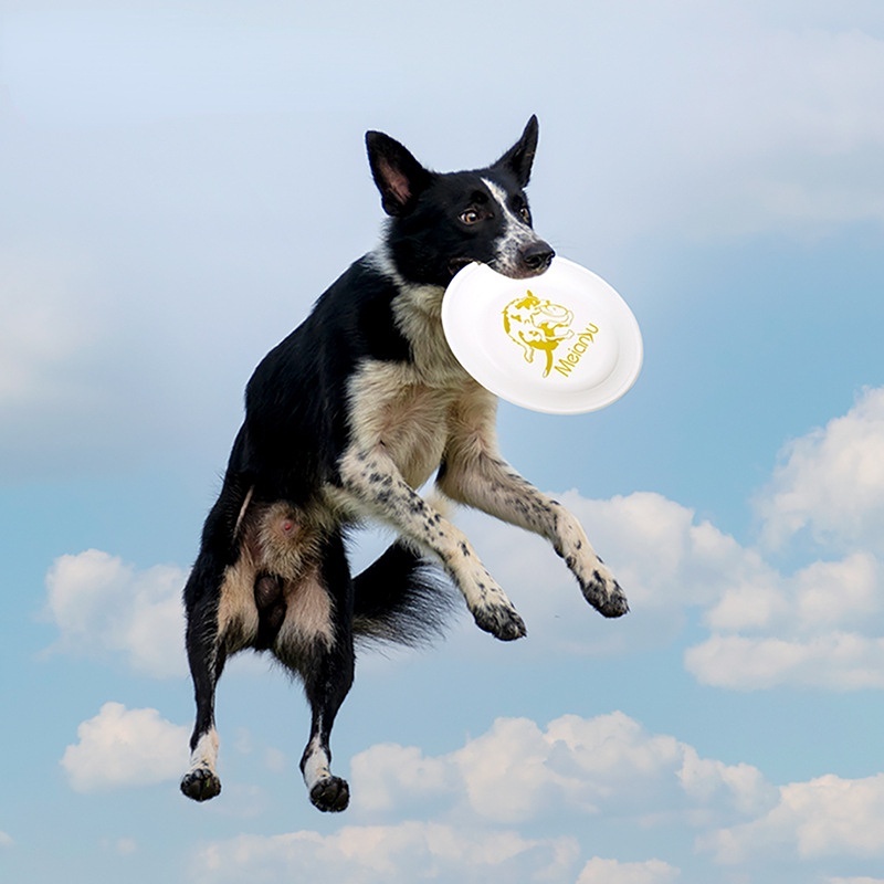Meianju Event Standard Frisbee Frisbee Dog Training Disc 235 Professional  Competition Disc Border Animal Husbandry Training Pet Supplies