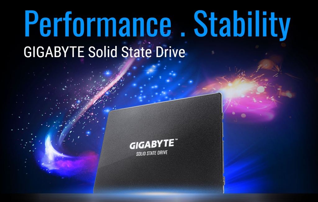 GIGABYTE SSD 1TBB NAND Flash SATA III 2.5 Internal Solid State Drive  (GP-GSTFS31100TNTD)