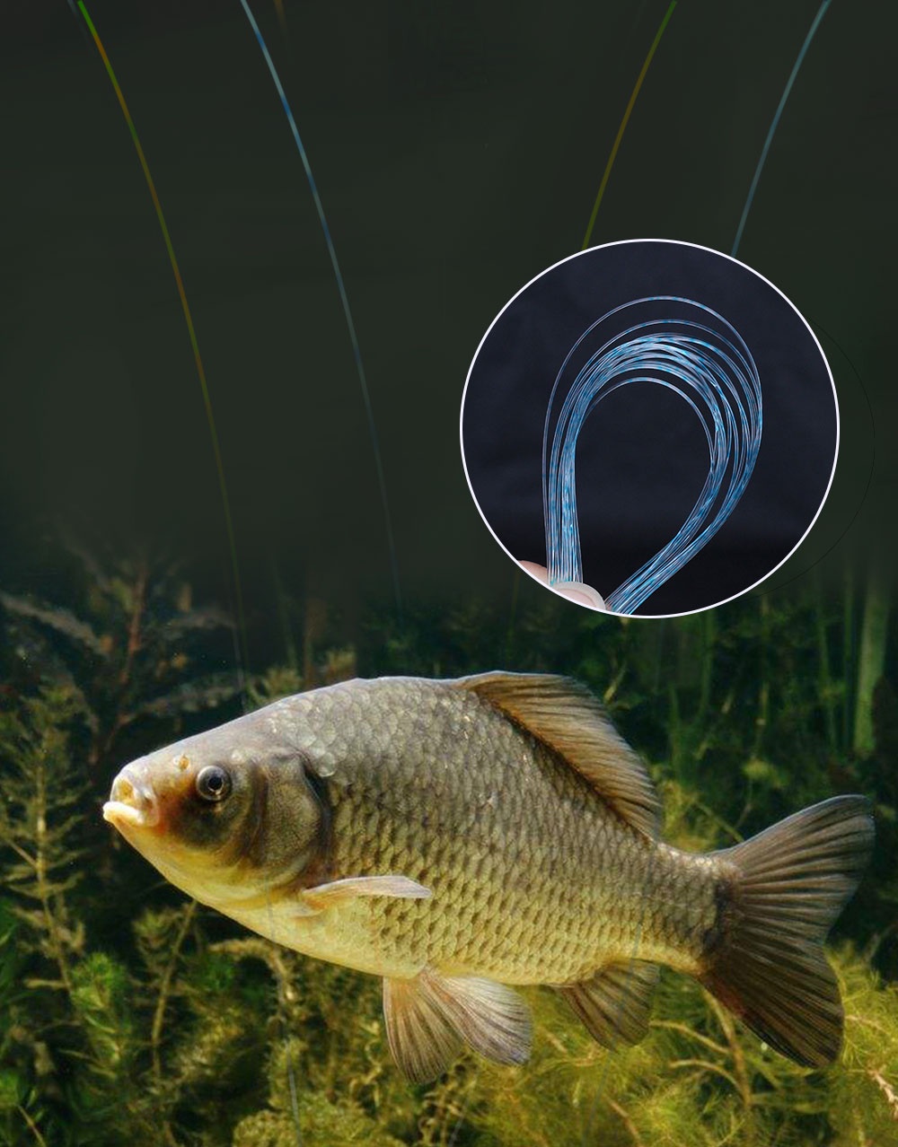 FTK 300M Fluorocarbon Coating Carbon Fiber Monofilament Leader Line ...