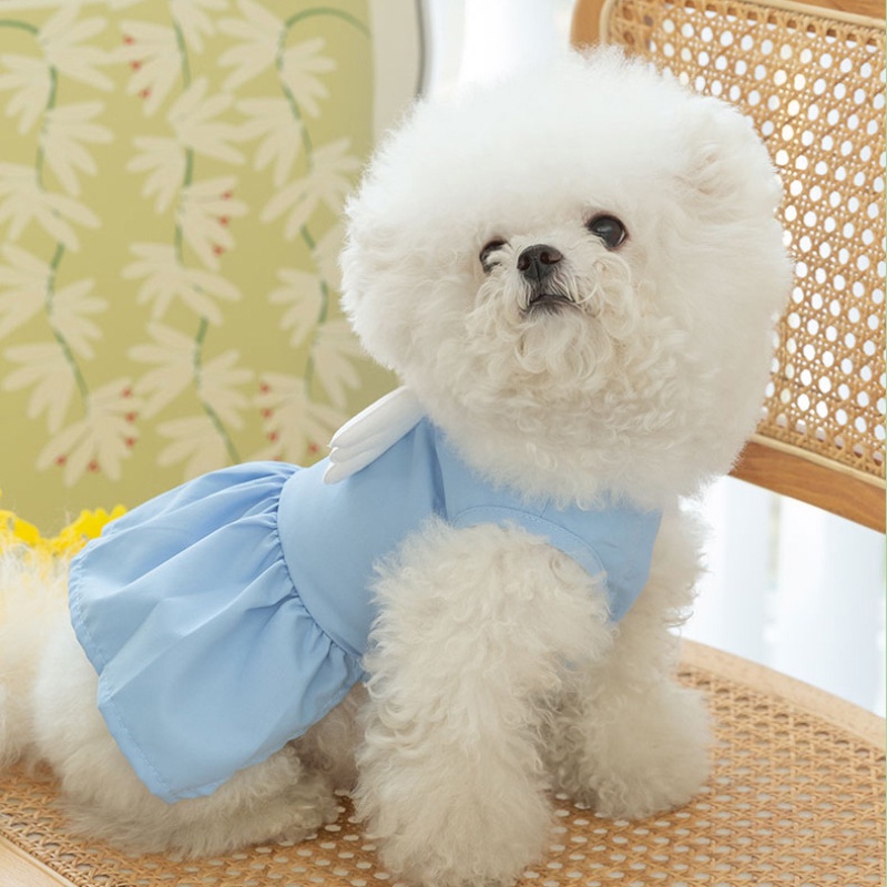 light blue mini dress formal Ellie – Beginning Boutique US Style:Dress G Alyce Paris 61412 - elegant luxury dress