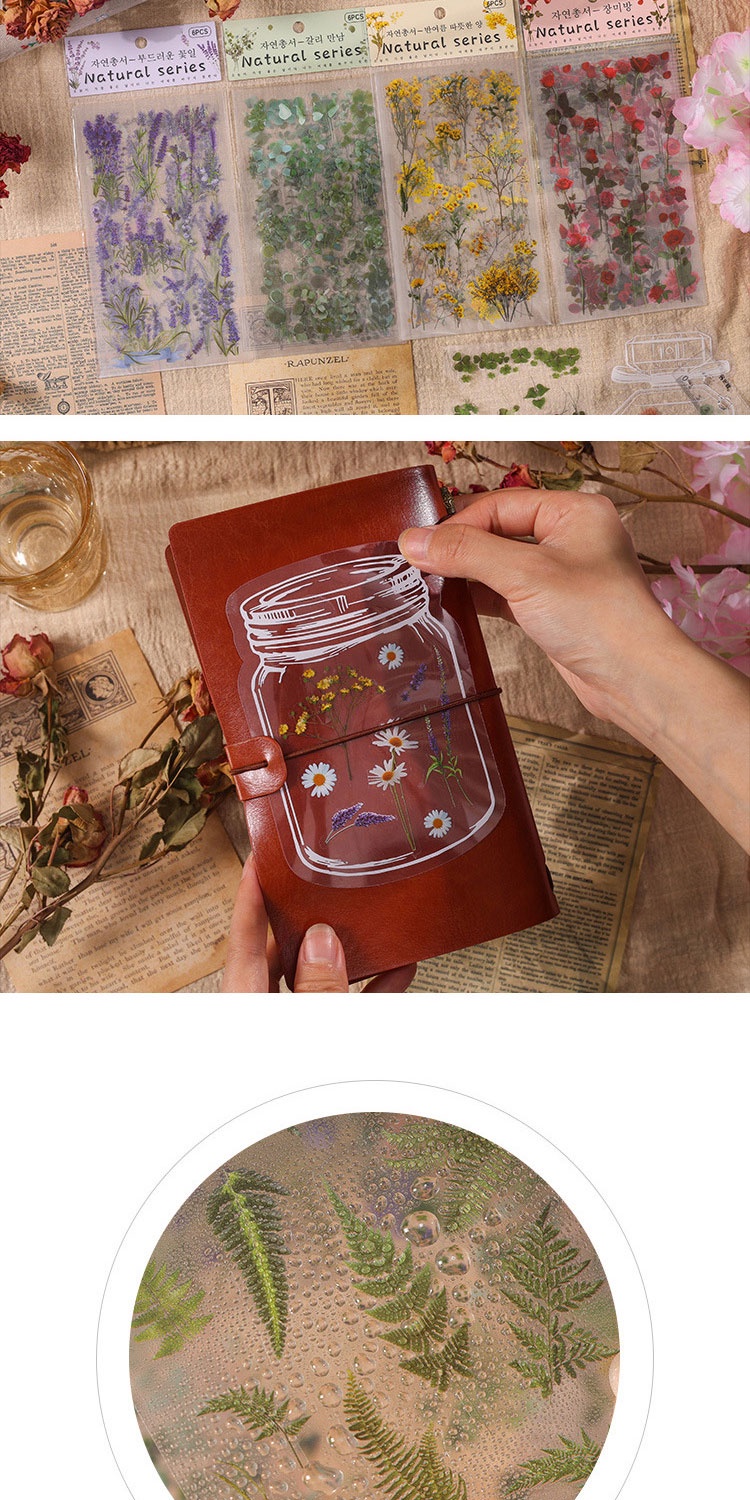 Journamm 6Sheets/pack Transparent PET Stickers Scrapbooking Materials ...
