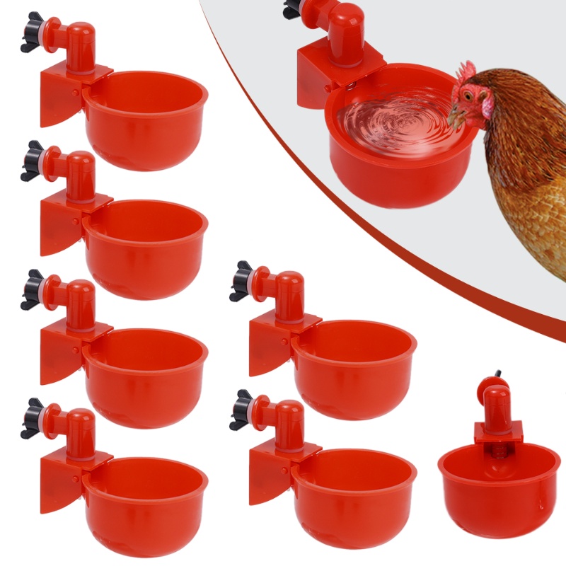 Brooding Drinking Bowl for Chickens / Automatic Water Feeder for Chicks ...