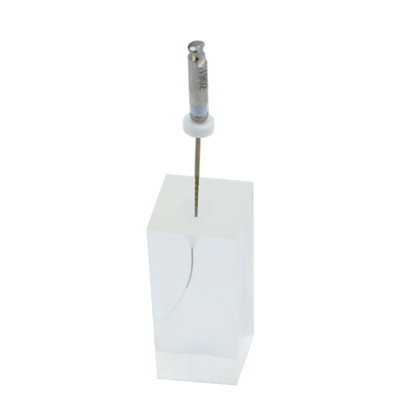 Dental Root Canal Model Dental RCT Practice Teeth Pulp Cavity Model ...