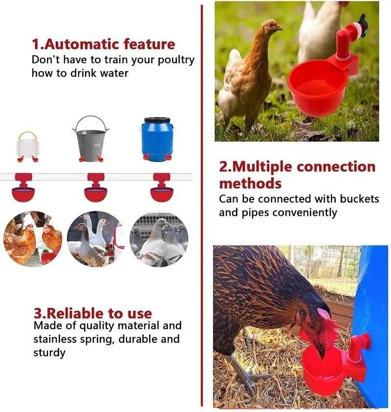 Brooding Drinking Bowl for Chickens / Automatic Water Feeder for Chicks ...