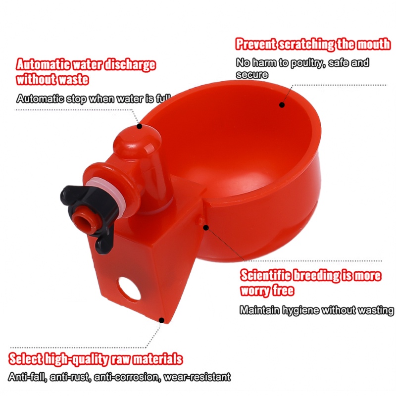 Brooding Drinking Bowl for Chickens / Automatic Water Feeder for Chicks ...
