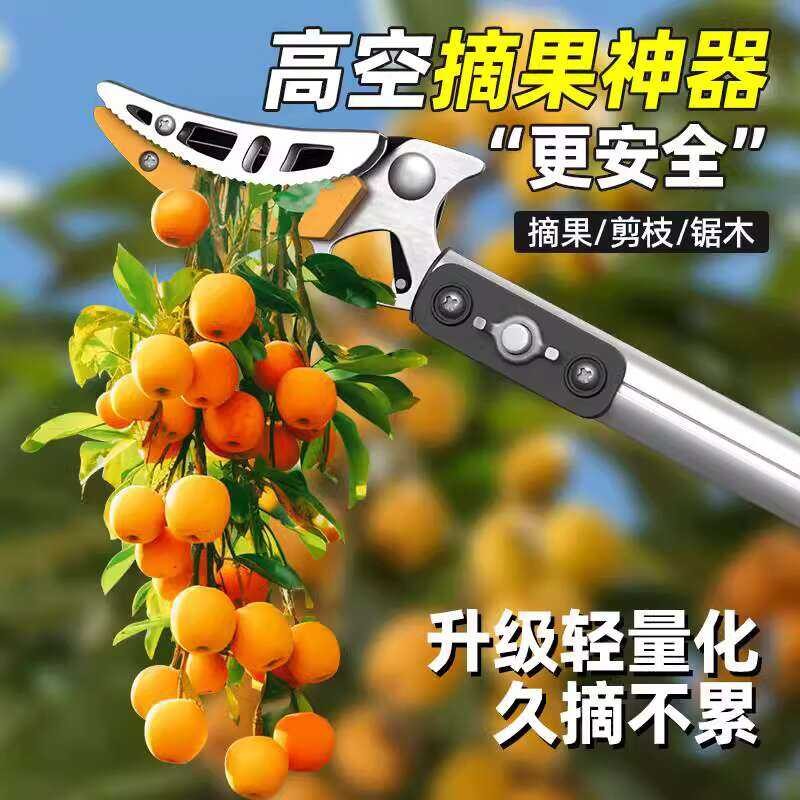 Fruit Picking Tool for Loquats, Lychees, Bayberries, Longans, Apricots ...