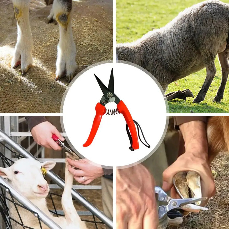 Goat Hoof Trimmer Horse Clippers Stainless Steel Hoof Trimmers Sheep ...