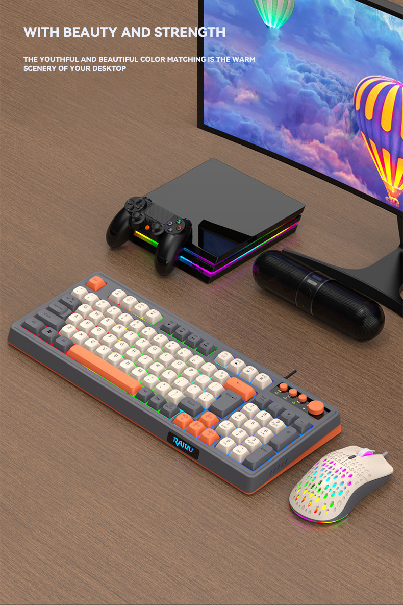 Cen x Raiku Wired Rainbow LED Gaming Keyboard Bundle And Mouse Set 98 ...