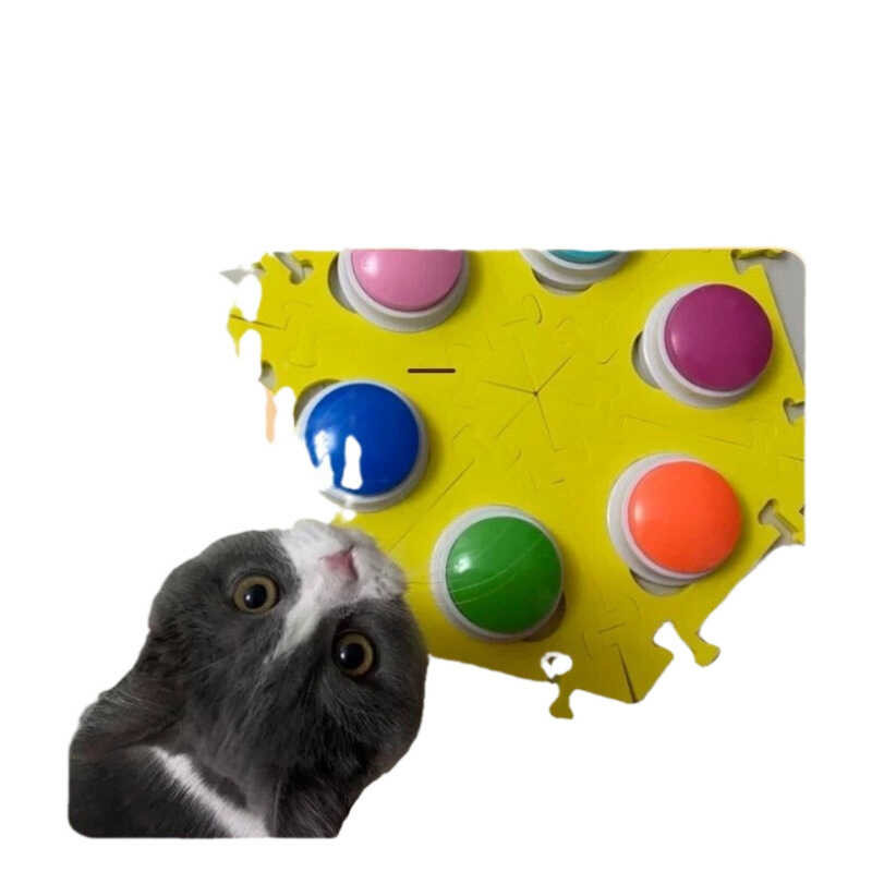 Dog Speaking Button, Pet Communication Recording Button, Cat ...