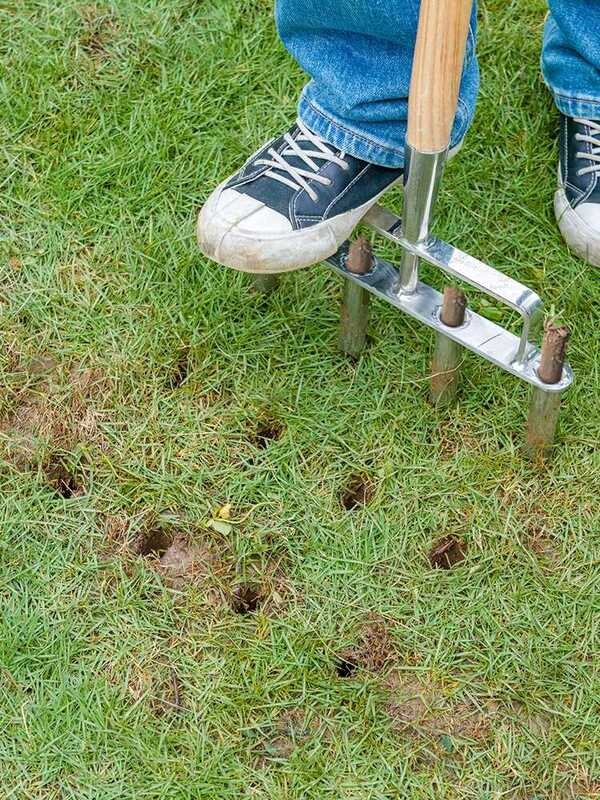 Berry&Bird Soil Loosener Lawn Aerator Rake Punching Tool Alternative to ...