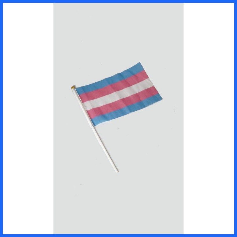 ∵ ╭ Small Transgender Flag | Trans Pride Flag LGBT Handheld Waving ...