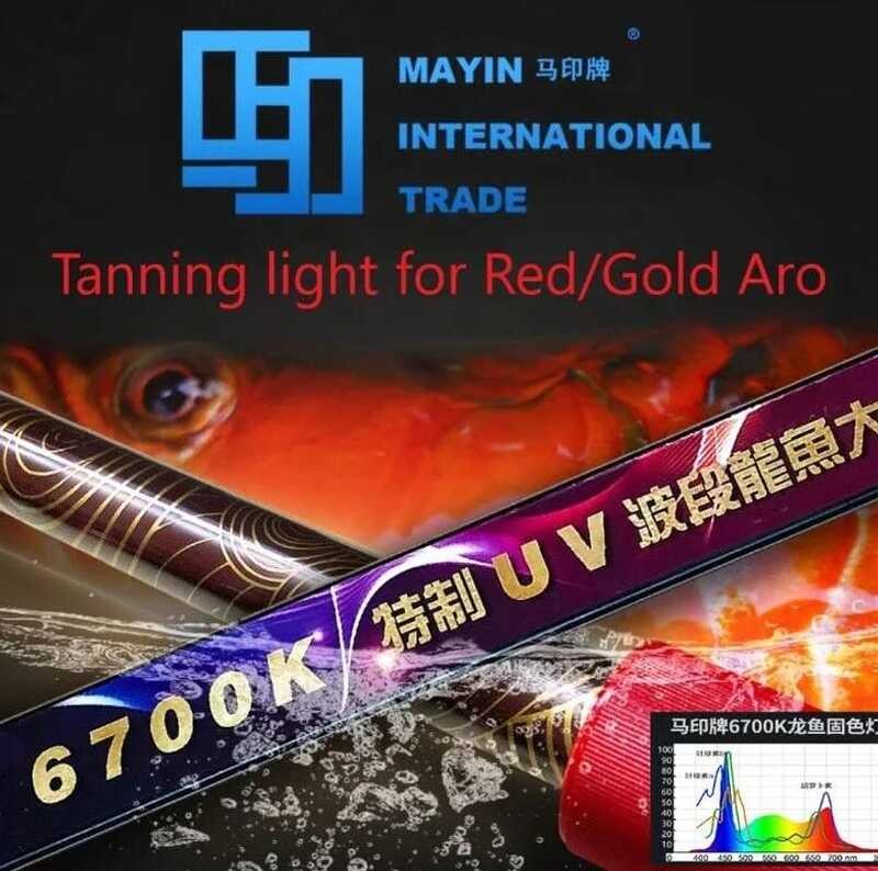 COD Aquarium LED Lights Mayin Authorized SG Seller T K Tanning Light UV ...