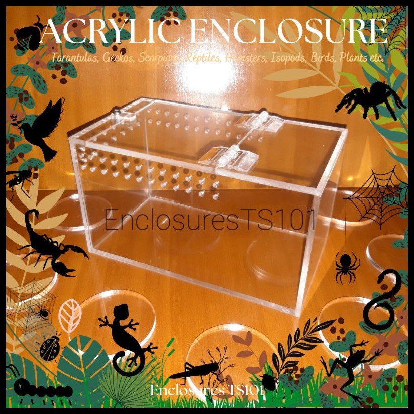 Acrylic Enclosure Box Cage for Tarantula, Isopods, Beetles, Gecko ...