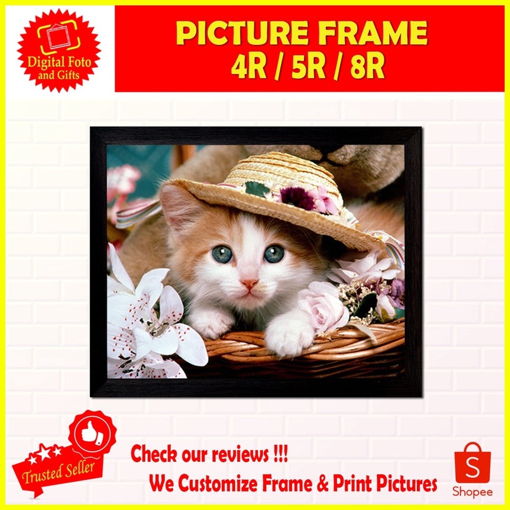 Picture Frame 8R for Portrait or Landscape Image or Graduation Picture ...