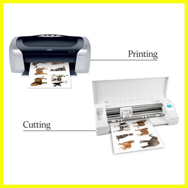 ITech A4 135 GSM Photo Sticker Paper Glossy A4 Size (50 Sheets/Pack ...