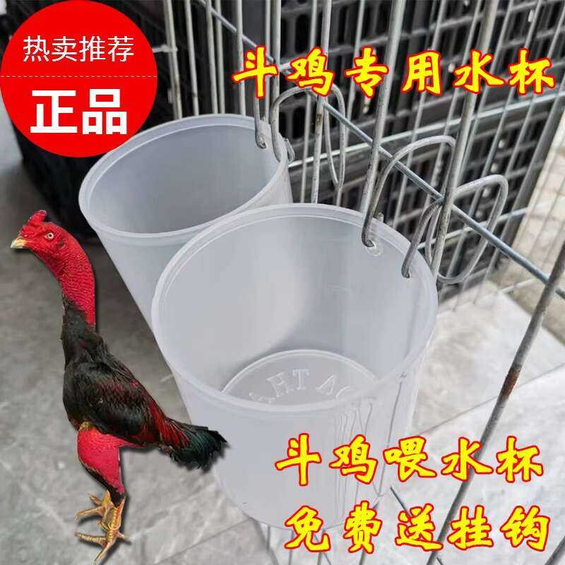 Chicken Fighting Bowl Chicken Fighting Water Cup Chicken Fighting ...
