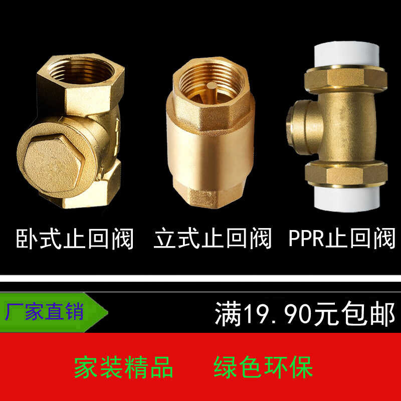 PPR Union Check Brass Horizontal Spring Vertical Return One-Way Non ...