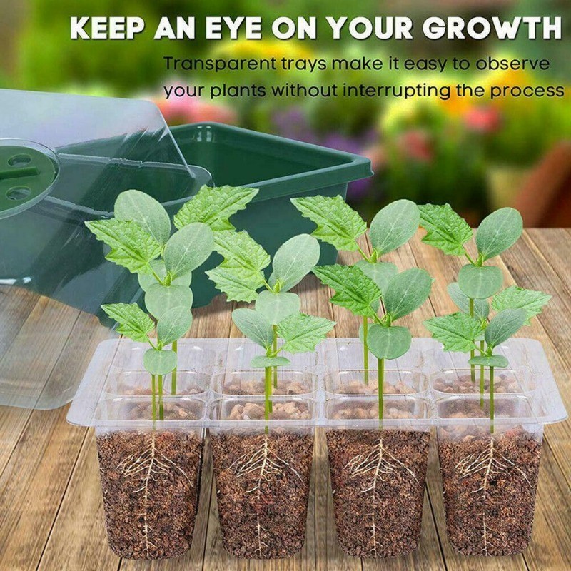 12 holes Dome Lid Nursery Germinating Propagating Seedling Plant Tray ...