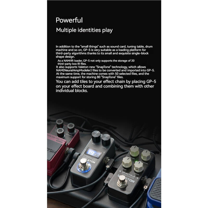 Valeton Electric Guitar Integrated Effect Device GP-5 Stubborn Single ...