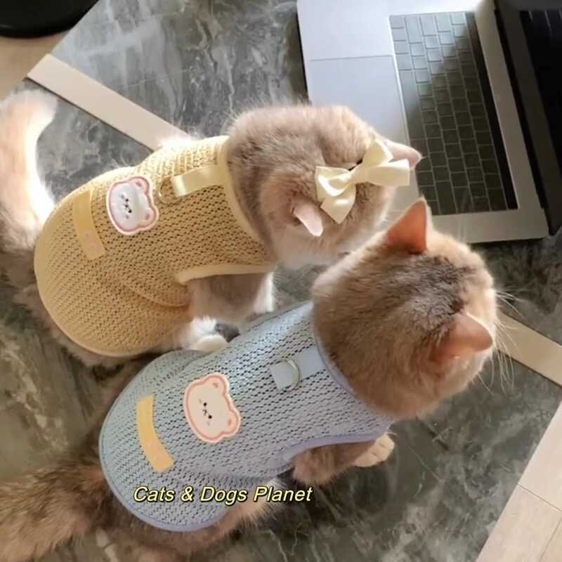 Kitten Spring Summer Anti-Shedding Clothes Layer Pet Devon Rex Golden ...