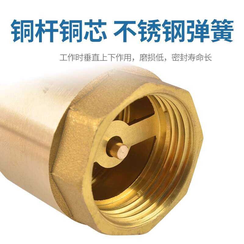 Brass Spring Vertical One-Way Pipe Meter 1/2