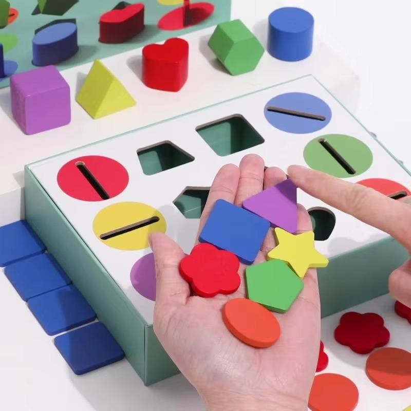 3D Shapes Geometric Solids Wooden Color Toy Sorting Toy Developmental ...