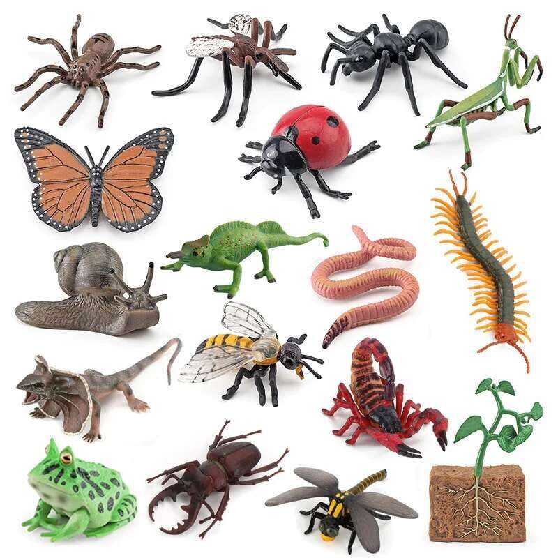 Insect Educational Reptile Model Toy - Frog Ladybug Butterfly Life ...