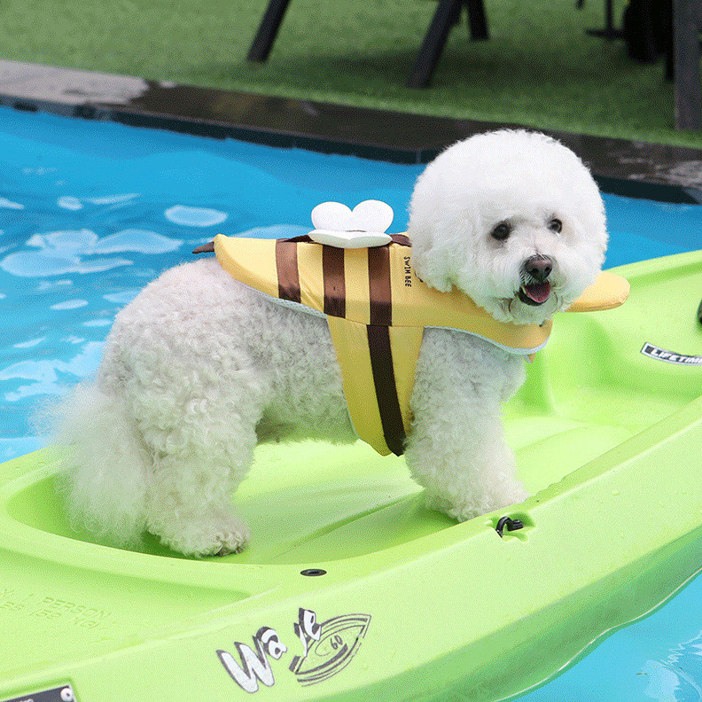 Cute Bee Dressed Up With Pet Life Jacket To Protect Cats And Dogs ...