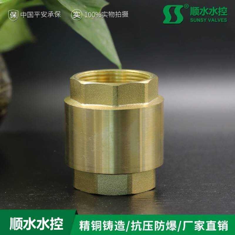Thickened Brass PPR Vertical Pipe Water Meter Check Spring One-Way ...